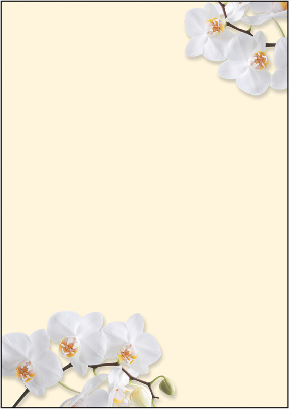 Pap.design A4 White Orchid 50fl