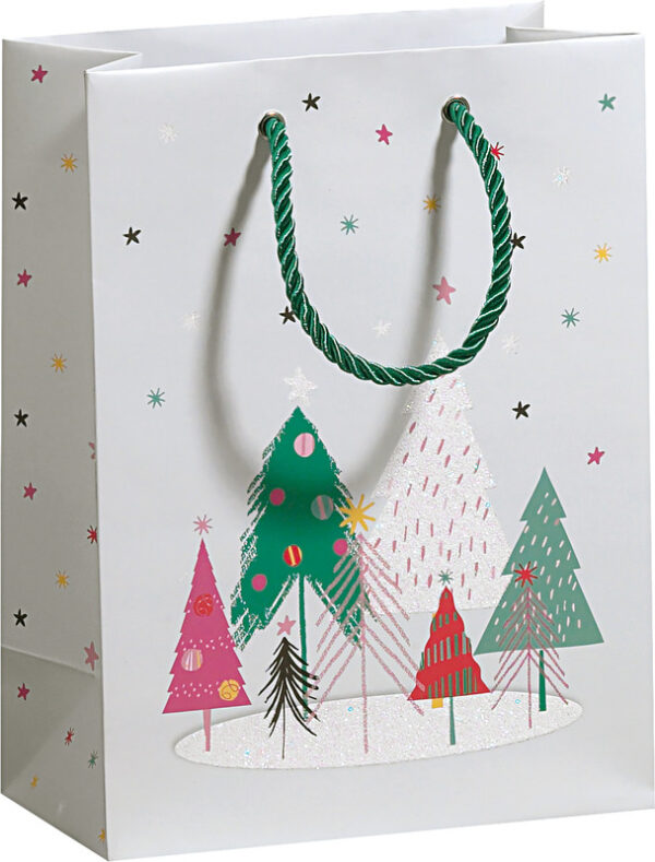 N'Sac Festive Fun 17x9.2